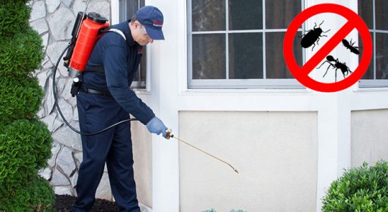 Bozcaada Pire İlaçlama böcek ilaçlama ve haşere kontrolü — ilaclama-tr.com